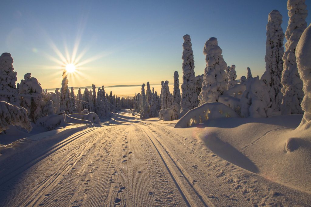 Snow-covered forest road at sunrise with frosted trees in winter landscape