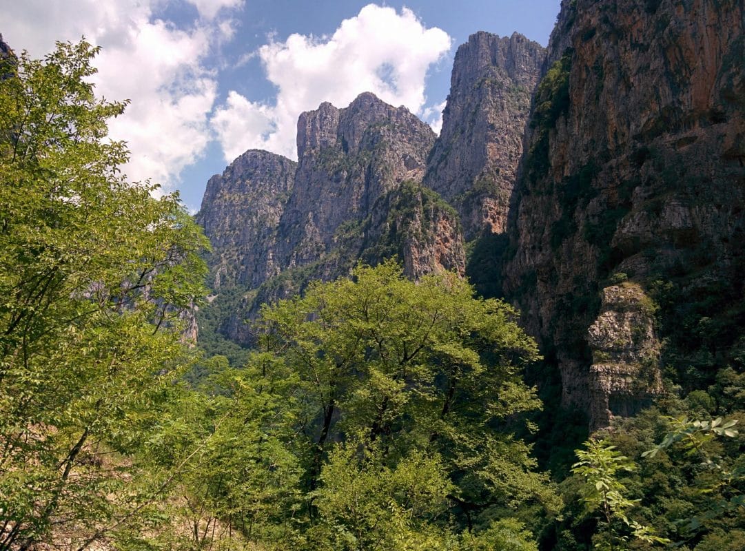 Dramatic cliffs and forest inside Vikos Gorge in northern Greece