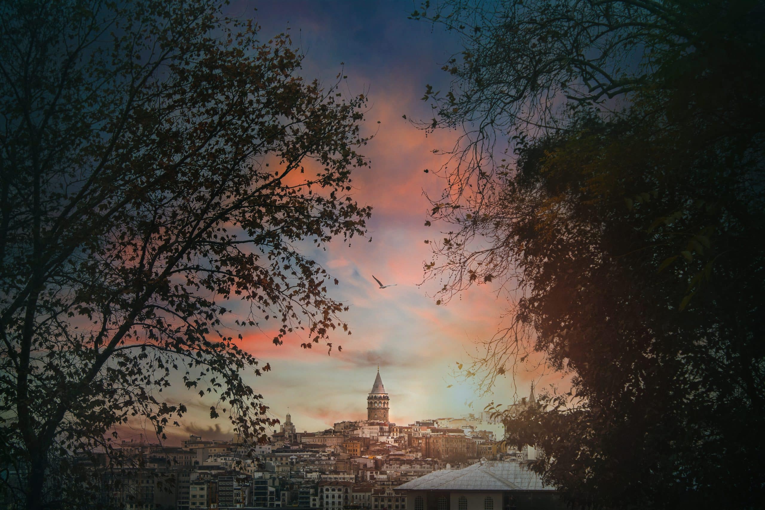 Istanbul skyline at sunset with Galata Tower framed by trees and colorful sky