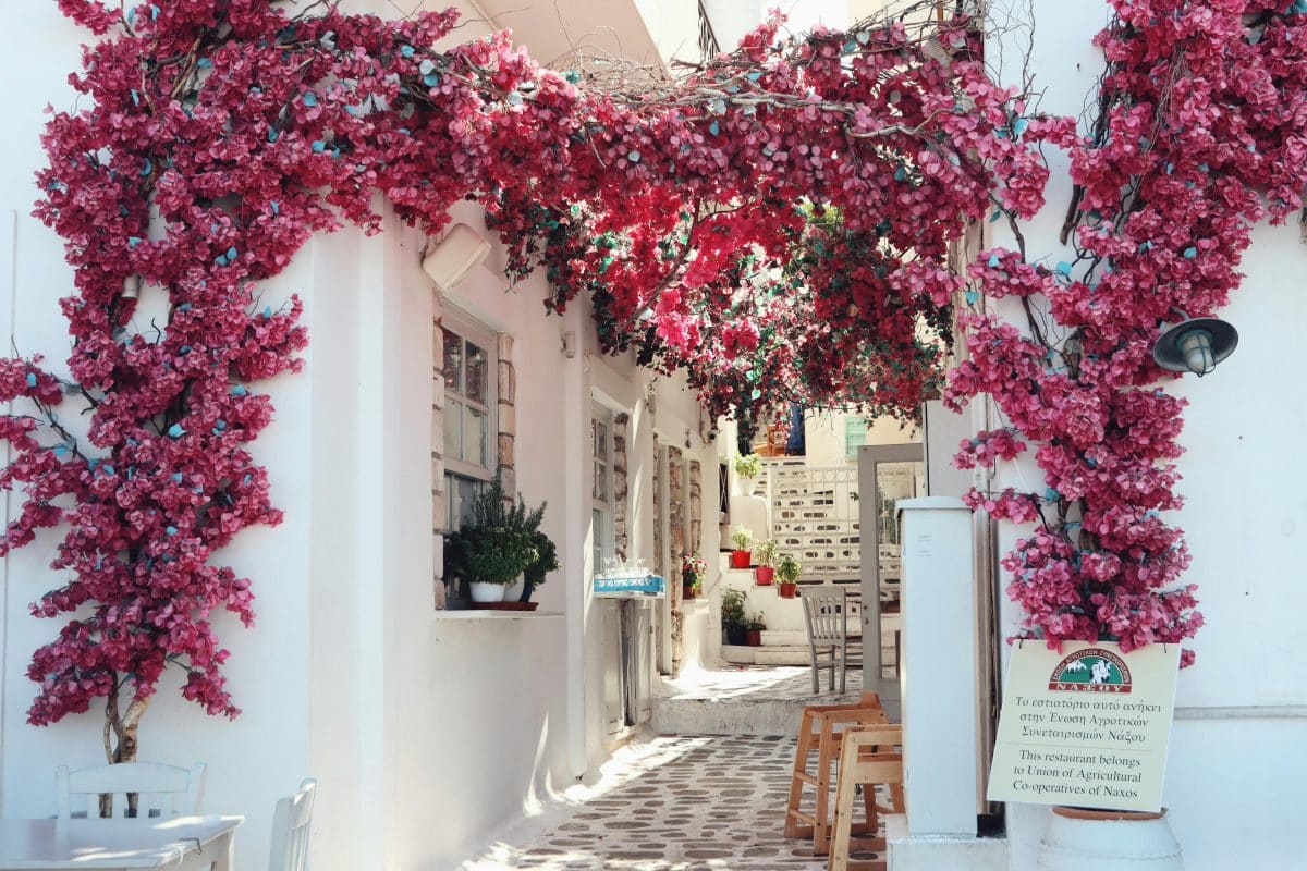 Traditional Greek taverna in Naxos, Greece with pink bougainvillea flowers and outdoor seating