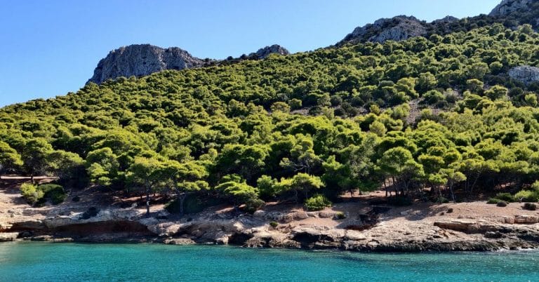 Pine-covered coastline of Agkistri Greece with turquoise water and rocky shoreline