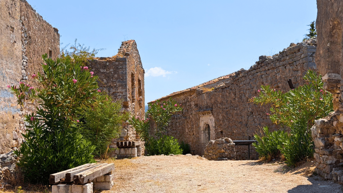 Stone ruins and pink flowering oleander at Himarë Castle overlooking the Albanian Riviera.